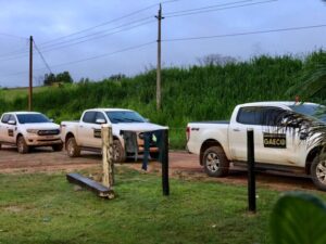 Funcionário de cartório desviou R$ 1,4 milhão e adquiriu fazendas, gado, cavalos, tratores e veículos com a fraude