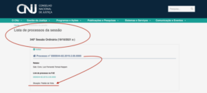 Pedido de vistas adia julgamento de Nelma Sarney no Conselho Nacional de Justiça