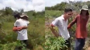 Vídeo em que filho vai na roça avisar o pai que passou em medicina revela que o país ainda tem futuro, apesar da sanha bolsonarista