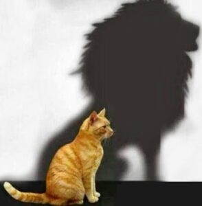 Soberba dos aliados de Weverton Rocha pode afundar sua candidatura