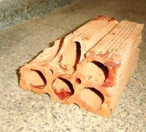 Idoso é assassinado a tijoladas por adolescente que diz ser vítima de tentativa de estupro