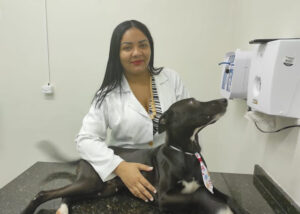 Cão procura sozinho clínica veterinária em Juazeiro do Norte