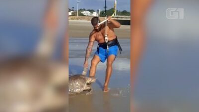 É SER HUMANO: VEREADOR PAULO VICTOR VIRALIZA NAS REDES SOCIAIS EM FOTO RESGATANDO TARTARUGA EM PRAIA DE SÃO LUÍS