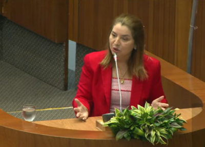 Vídeo: Iracema Vale nega interferência de Marcus Brandão e rebate judicialização do pleito