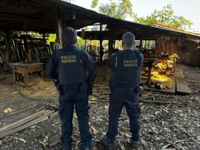 PF realiza Operação Arariboia Livre VII em combate crimes ambientais