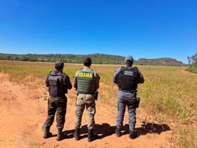 Ibama deflagra operação para combate ao desmatamento no Cerrado