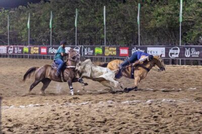 Governo permite apostas em animais, incluindo vaquejada e corrida de cavalo