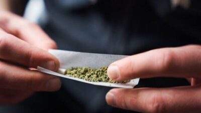 STF confirma decisão sobre porte de até 40g de maconha para uso pessoal