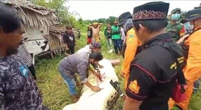 Criança de 8 anos morre após ser engolida por crocodilo