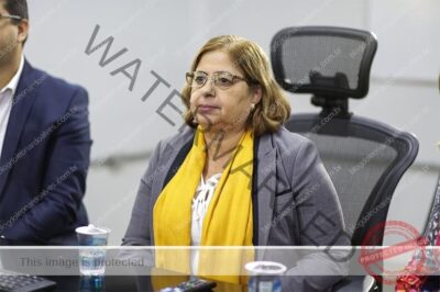 Entenda o que levou à demissão de Cida Gonçalves do Ministério das Mulheres