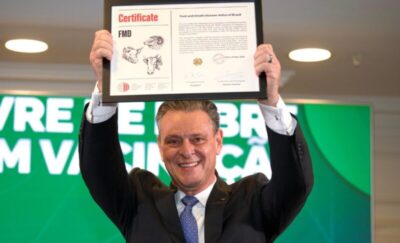 Brasil é reconhecido como livre de febre aftosa sem vacinação e abre portas para novos mercados