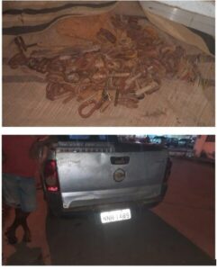 Polícia Civil de Itapecuru e Miranda do Norte realiza prisão de suspeitos pelo crime de furto qualificado.