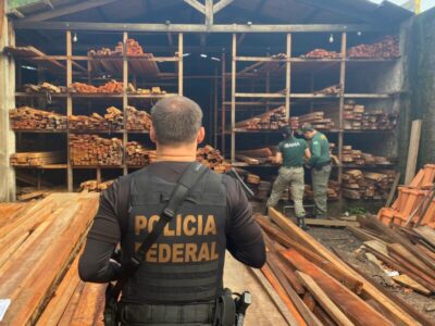 PF realiza no Maranhão operação contra receptação ilegal de madeira e fraudes ambientais