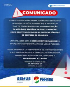 Prefeitura de Pinheiro anuncia medidas para retirar animais das ruas da cidade