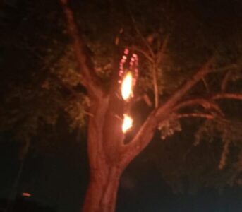 Corpo de Bombeiros de Itapecuru é acionado para conter  um incêndio em vegetação
