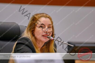 Iracema Vale faz balanço positivo do primeiro semestre de 2023 na Assembleia Legislativa