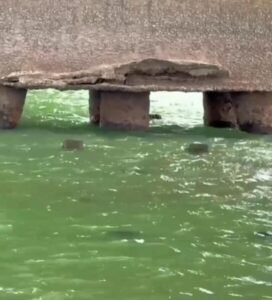 Tragédia em Estreito acende alerta para más condições em estruturas de outras pontes no MA