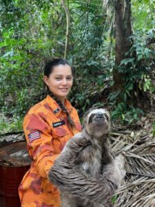 Bombeiros alertam para aumento de ocorrências com animais silvestres e peçonhentos no Maranhão