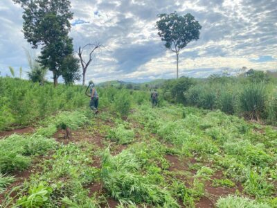 PF inicia 50ª fase de operação contra o narcotráfico na fronteira do Brasil com Paraguai