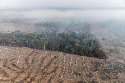 Desmatamento na Amazônia tem menor índice desde 2015, mas alertas apontam tendência de alta