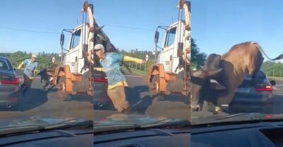ASSISTA! Touro enfurecido persegue homem e passa por cima de BMW