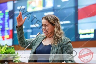 Mical Damasceno destaca proposição que sugere criação do programa ‘Igreja Legal’