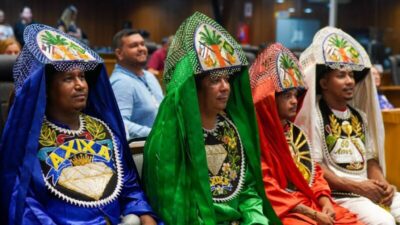 Assembleia homenageia os 65 anos do Boi de Axixá em sessão solene