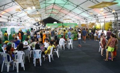 Governo apresenta novas políticas públicas para Agricultura Familiar durante a 1ª Femaf