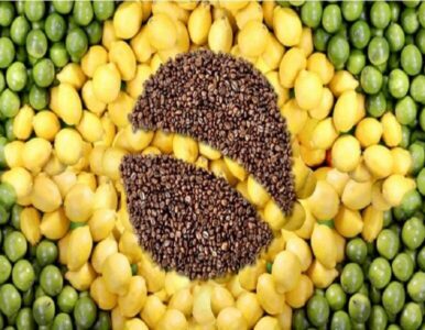 Brasil ultrapassa EUA e se consolida como maior exportador de alimentos do Planeta