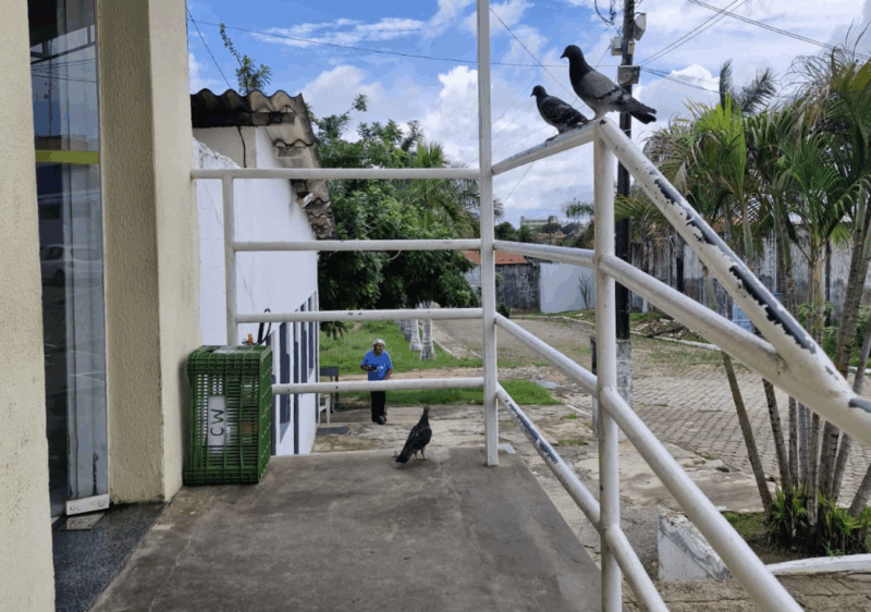 Foto: Reprodução