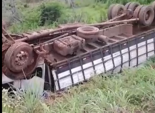 Caminhão com gado tomba na MA-119; motorista salta antes do acidente