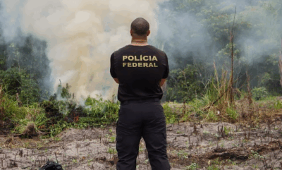 Polícia Federal realiza operação de combate ao plantio ilegal de maconha