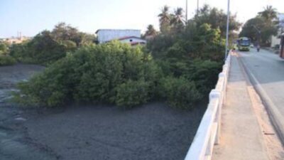 Justiça determina que União e Município de São Luís protejam áreas de mangue