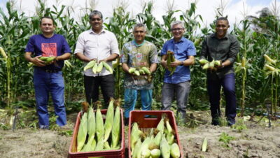Agricultura em Raposa é fortalecida na gestão de Eudes Barros