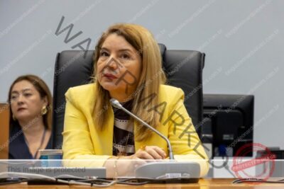 Iracema Vale reivindica implantação da Casa da Mulher Maranhense em Barreirinhas