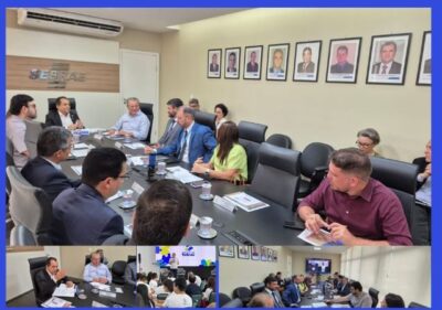 Sebrae reunião com Conselho Deliberativo