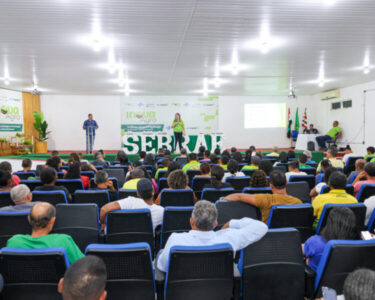 Ações do Sebrae fortalecem agronegócio e produção na Baixada e Litoral Ocidental Maranhense