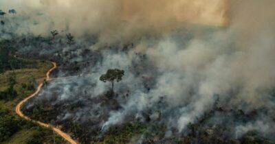 Degradação da Amazônia por queimadas é a maior em 15 anos