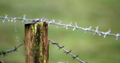 Maranhão lidera casos de contaminação por agrotóxicos