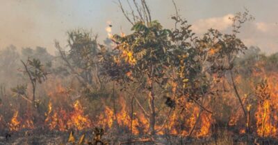 Queimadas atingem 477 mil hectares no Maranhão em novembro