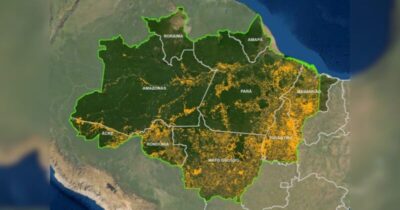Degradação florestal na Amazônia cresce quase 500% em 2024