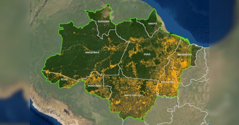 Foto: Reprodução