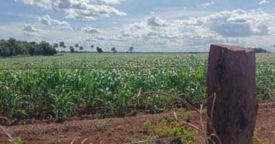 Mais de 400 comunidades enfrentam conflitos agrários no MA
