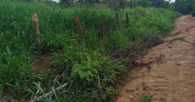 Operação remove cercas ilegais em terra indígena no Maranhão