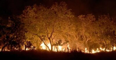 Degradação na Amazônia aumenta quase 500% no início de 2025