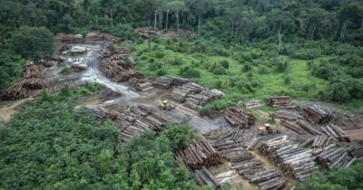 Brasil se prepara para COP30 com alta de 18% no desmatamento