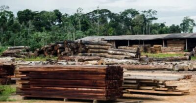 Maranhão lidera desmatamento no Cerrado pelo 2º ano seguido