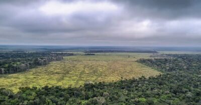 Degradação da Amazônia cresce mais de 160% em dois anos