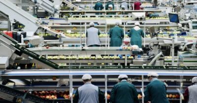 Indústria de alimentos lidera setor produtivo no Maranhão