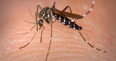 Maranhão soma mais de 4,8 mil casos prováveis de dengue